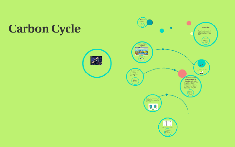 The Carbon Cycle by Ngozi Obaze on Prezi