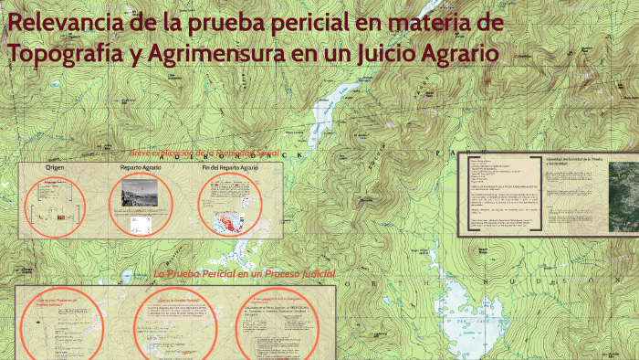Relevancia de la Prueba Pericial en Materia Agraria by Nayar Paredes on