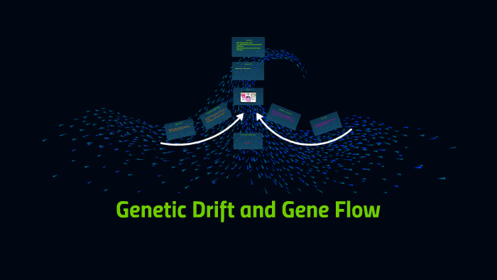 Genetic Drift and Gene Flow by George Dawson on Prezi