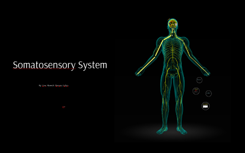 Smart somatosensory что это в смартфоне