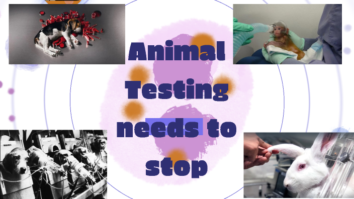 Animal Testing Is Bad By Tiffany Williams On Prezi