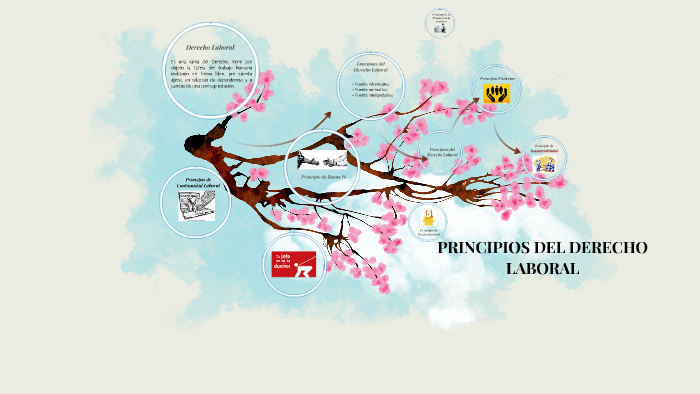 PRINCIPIOS DEL DERECHO LABORAL by on Prezi