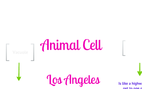 Animal Cell by Robert Ference on Prezi