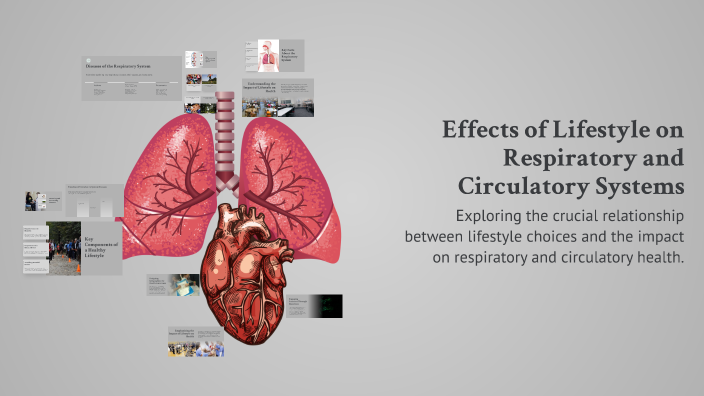 Effects of Lifestyle on Respiratory and Circulatory Systems by DESIREE ...
