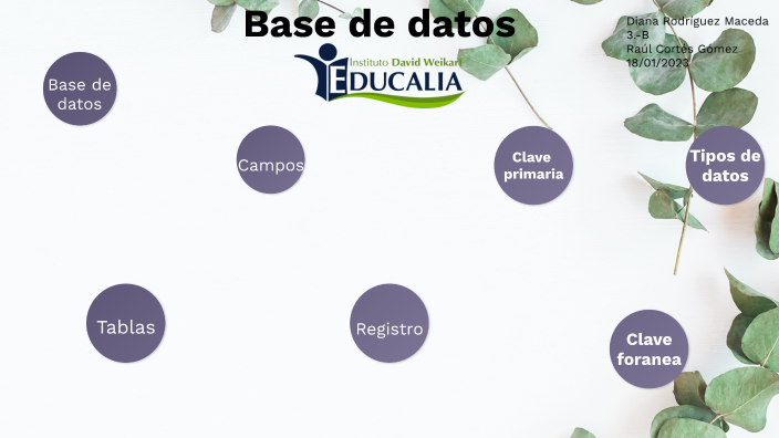 Bases de datos by Diana Rodriguez Maceda on Prezi