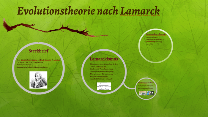 Evolutionstheorie Nach Lamarck By Zsofia Sirmer On Prezi 