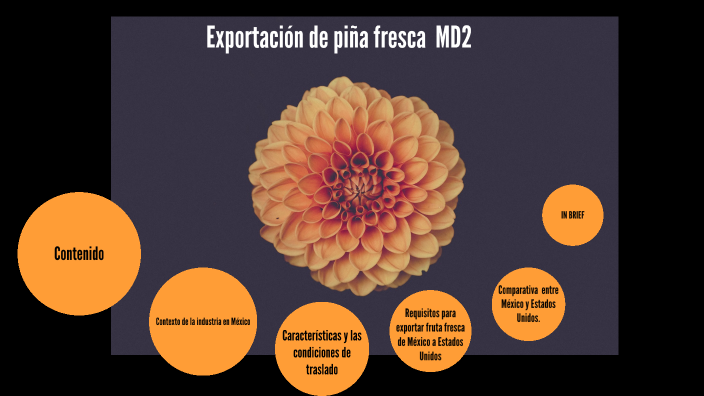 Exportación de piña fresca MD2 by Beatriz Adriana Ceja Guerrero on Prezi