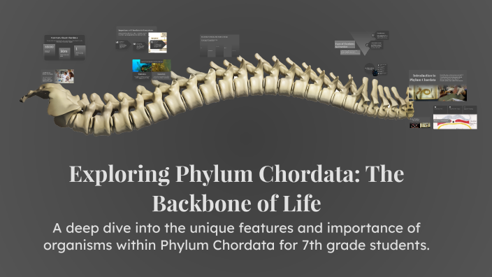 Exploring Phylum Chordata: The Backbone of Life by Aaron Saude on Prezi
