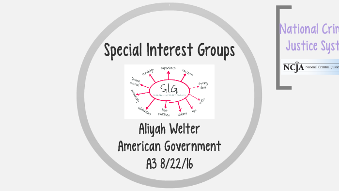 special-interest-groups-by-aliyah-welter