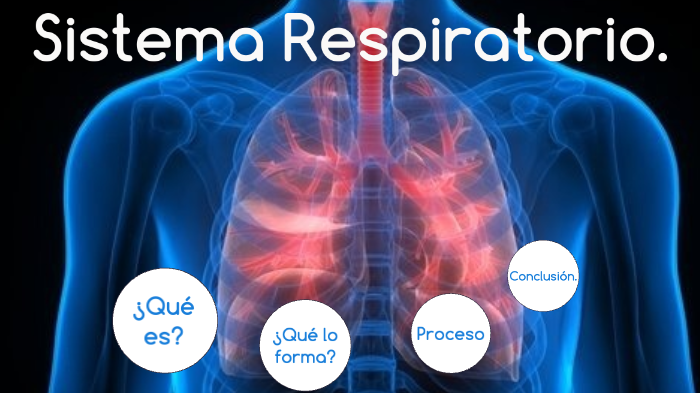 sistema respiratorio. by claudia quiroz ulloa on Prezi