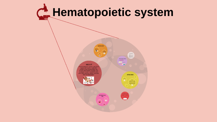 Sistema hematopoyetico by Mariana Angel on Prezi