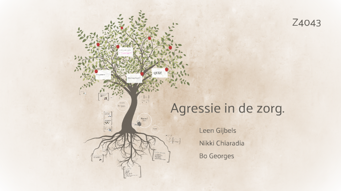 Agressie in de zorg. by Bo Georges on Prezi