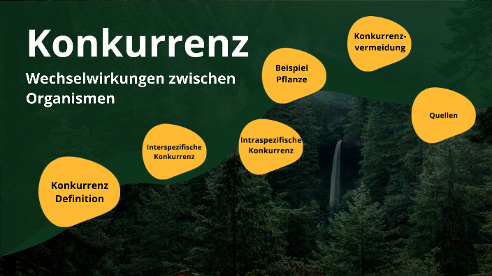 Angst Vor Der Primadonna Konkurrenz Der Konkurrenzdruck Ist Unglaublich Groß So Schaffst Du Es - sei1yp2