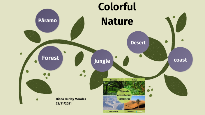 Tipos de ecosistemas de Colombia by DIANA DURLEY MORALES ALVAREZ on Prezi