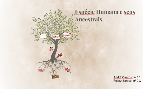 Espécie Humana e seus Ancestrais. by André Cardoso on Prezi