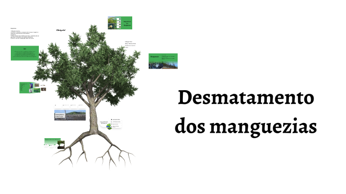 Destruição dos Manguezais by Giovana Andrade on Prezi