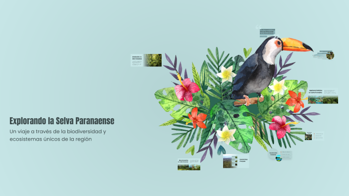 Explorando la Selva Paranaense by Julian Zini on Prezi