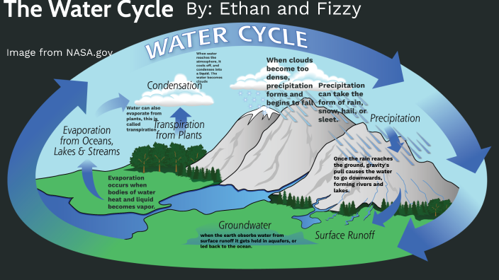 Water Cycle by Ethan Dodds on Prezi