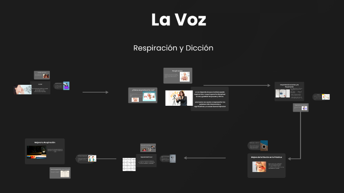 Importancia de la Voz by Erika Castro on Prezi