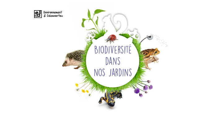 Biodiversité dans nos jardins by Environnement et Découvertes