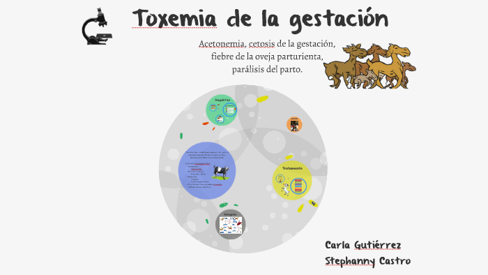 Toxemia de la gestación by edlin flores on Prezi