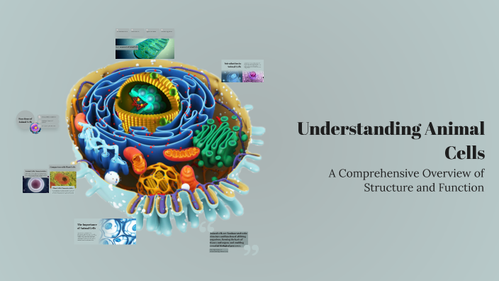 Understanding Animal Cells by Catalina Munteanu on Prezi
