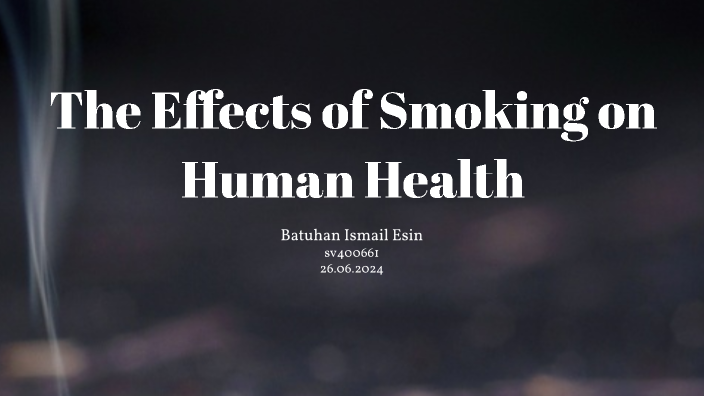 The Effects of Smoking on Human Health by Batuhan Esin on Prezi