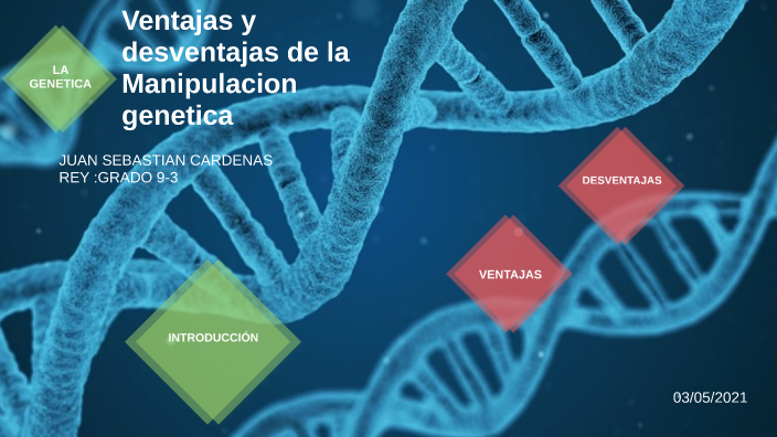 Ventajas Y Desventajas De La Manipulación Genética