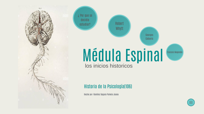 psicologia organizacional by Pamela Joana Ramirez Segura on Prezi