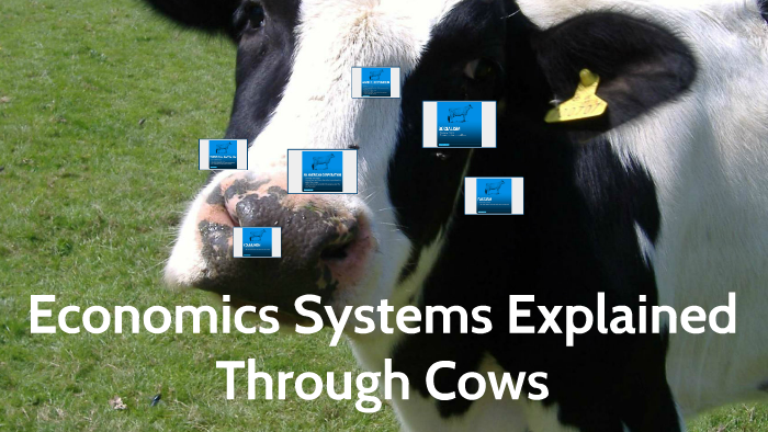 Economics System Explained Through Cows by Calen Rau