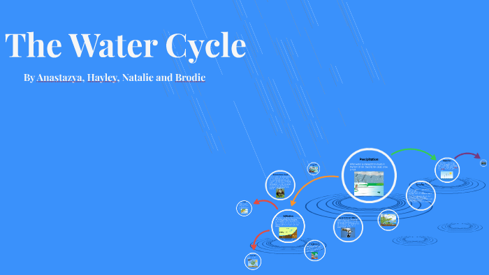 The Water Cycle by Brodie Smith on Prezi