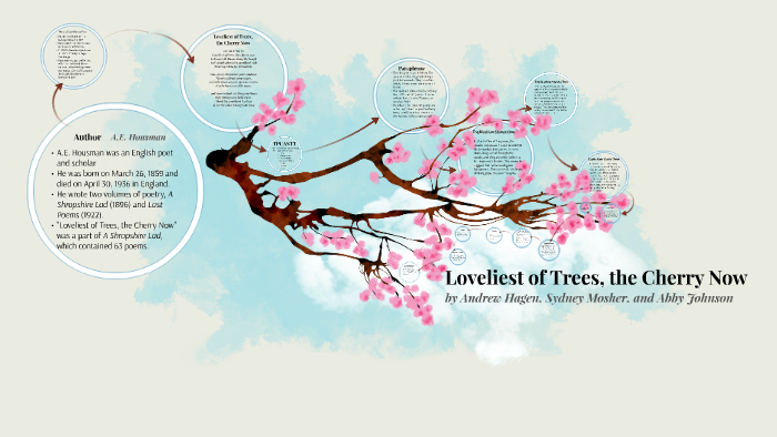 The Loveliest Of Tree Cherry Now By Abigail Johnson Paraphrase 