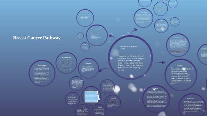 Breast Cancer Pathway by Zarah Hussain on Prezi