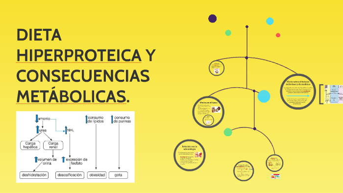 Dieta Hiperproteica Y Consecuencias MetÁbolicas By Tete Cc 0724