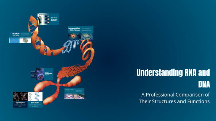 Understanding RNA and DNA by MAHRA ALHAMAR on Prezi