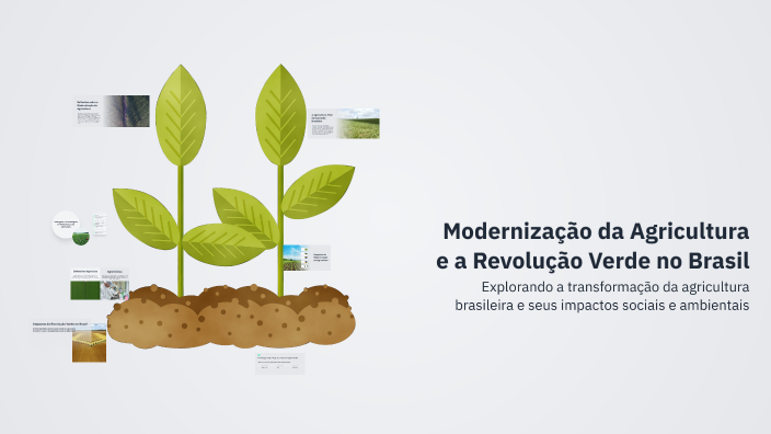 Modernização da Agricultura e a Revolução Verde no Brasil by Amaral ...