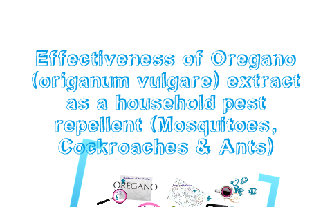 oregano as mosquito repellent research paper chapter 2