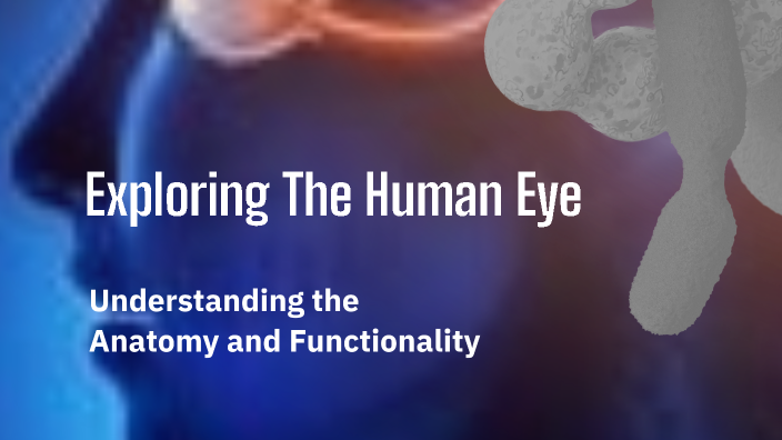Exploring The Human Eye by Janette Calderon on Prezi