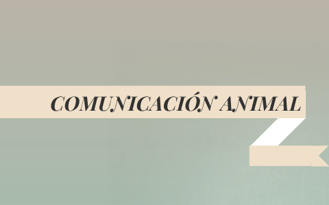 COMUNICACIÓN ANIMAL by Alicia Gutiérrez Aparicio on Prezi Next COMUNICACIÓN ANIMAL by Alicia Gutiérrez Aparicio on Prezi Next