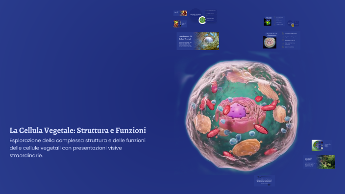 La Cellula Vegetale: Struttura e Funzioni by Gianmarco Naletto on Prezi