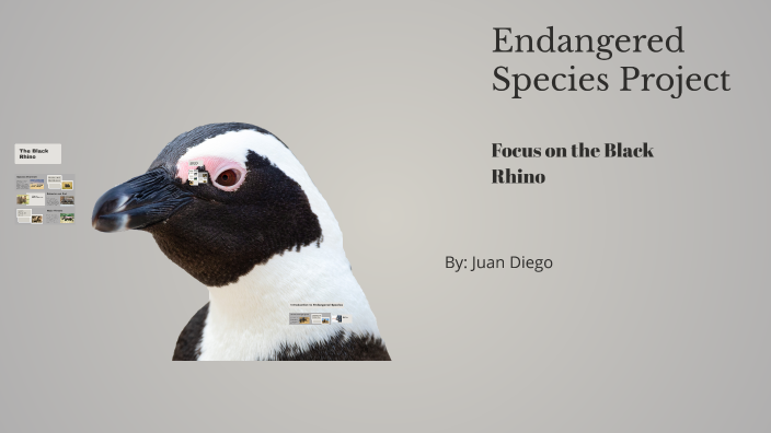 Endangered Species Project by Juan Zarate on Prezi