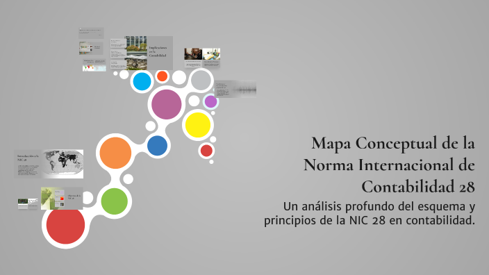 Mapa Conceptual de la Norma Internacional de Contabilidad 28 by Andrés ...