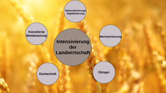 Intensivierung der Landwirtschaft by Ilayda Koc on Prezi