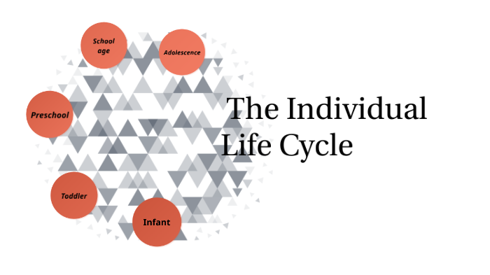 Individual Life Cycle by LILY TUGWELL on Prezi