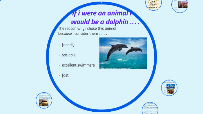 I were an animal i would be a dolphin . . . . by Sharu Krish