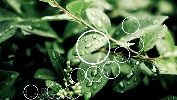 Sh Environment. All environmental by sh d on Prezi