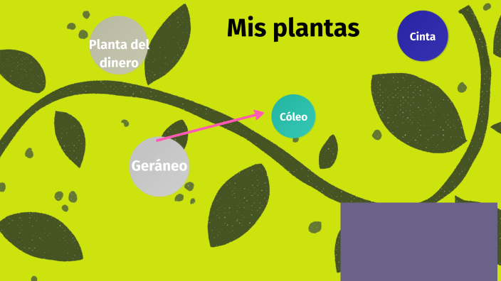 Mis plantas by ANA PORRES on Prezi