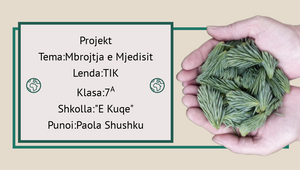 Mbrojtja e tokes by Paola Shushku on Prezi Design