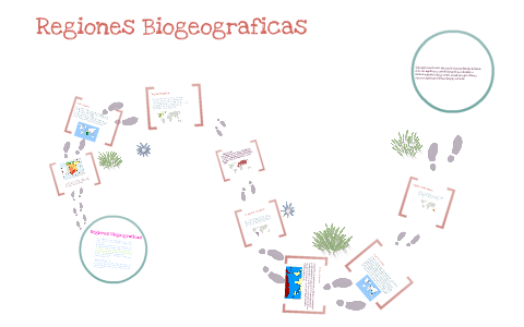 regiones biogeograficas by Adriana Perez Martinez on Prezi