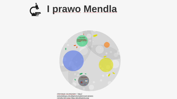 I Prawo Mendla By Oskar Domingos On Prezi